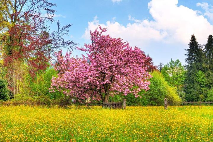 cunoaste romania