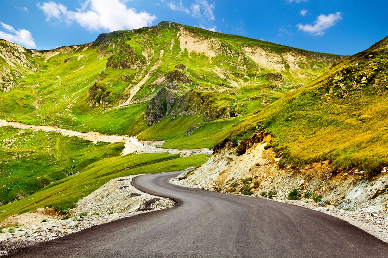 vacante de vis in Romania